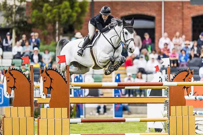Guide to exhibiting at the 2026 Australian Equestrian Show (Dates, Location, and Ticket Prices)